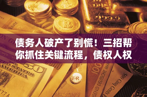 北京债务人破产了别慌!三招帮你抓住关键流程,债权人权益不再缩水 北京债务人破产了别慌!三招帮你抓住关键流程,债权人权益不再缩水